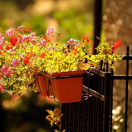 Agriturismo Due Torri Chiaravalle Centrale