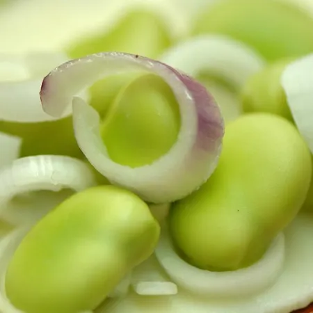 Agriturismo Due Torri