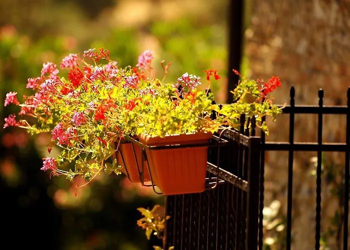 Agriturismo Due Torri Chiaravalle Centrale