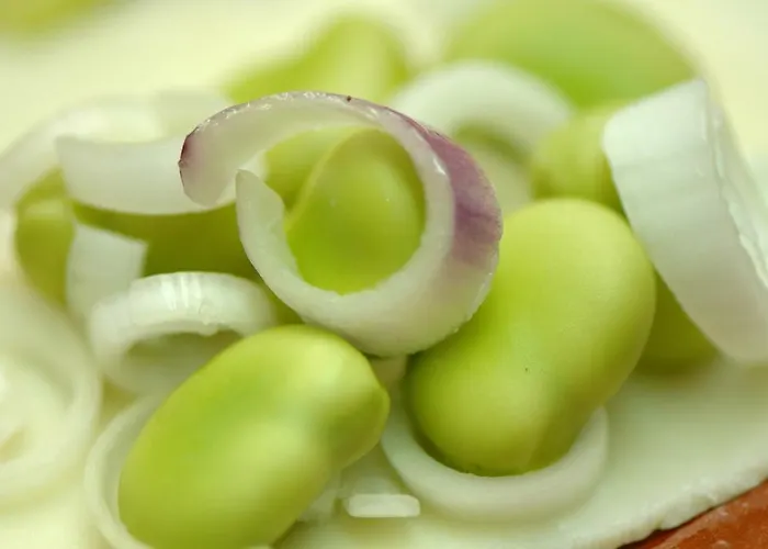 Agriturismo Due Torri